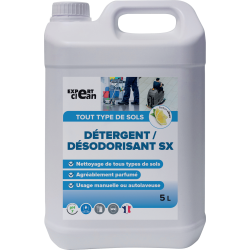 Detergent desodorisant 2d sx citron 5l