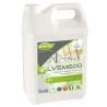 Liquide vitres ecolabel lvsm600 5l
