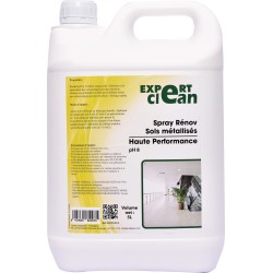 Spray renov hp expert clean 5l