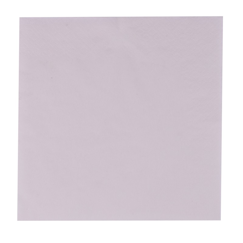 Serviettes 2 plis 30x30 blanche carton x3000